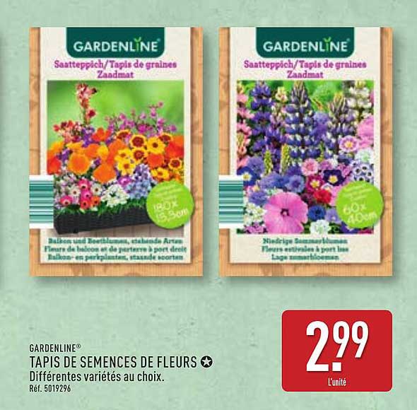 TAPIS DE SEMENCES DE FLEURS