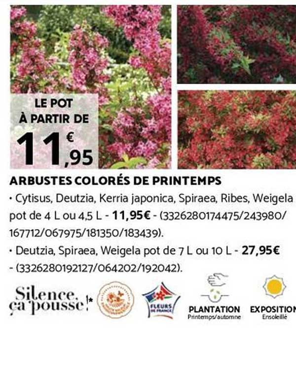 ARBUSTES COLORÉS DE PRINTEMPS