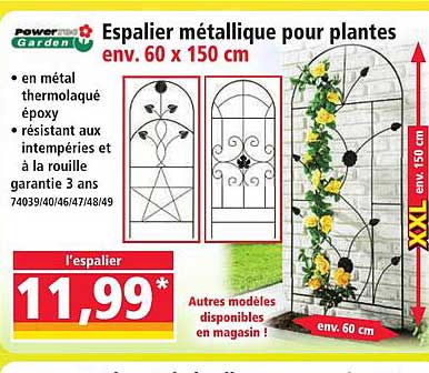 Espalier métallique pour plantes env. 60 x 150 cm