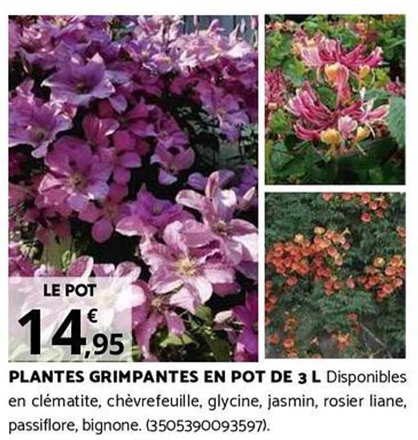 Sitemapcdatahttpsmodeinf Inetcombananier En Pot Lidl