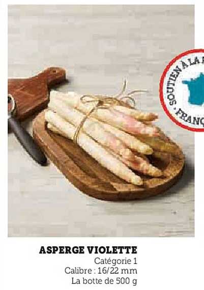 ASPERGE VIOLETTE