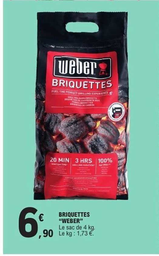 BRIQUETTES “WEBER”