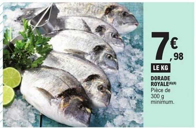 DORADE ROYALE (6/8)