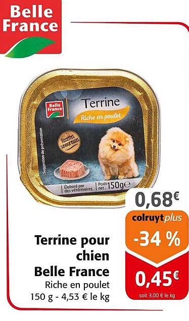 Terrine pour chien