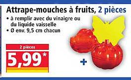 Attrape-mouches à fruits, 2 pièces