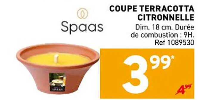 COUPE TERRACOTTA CITRONNELLE