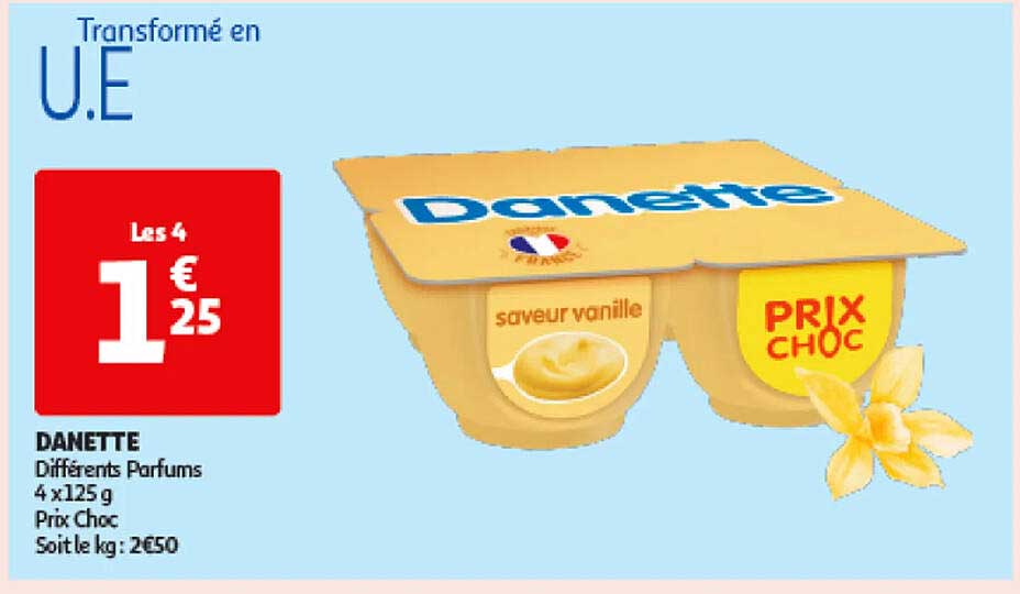 DANETTE Différents Parfums 4 x 125 g