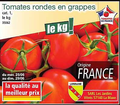 Tomates rondes en grappes