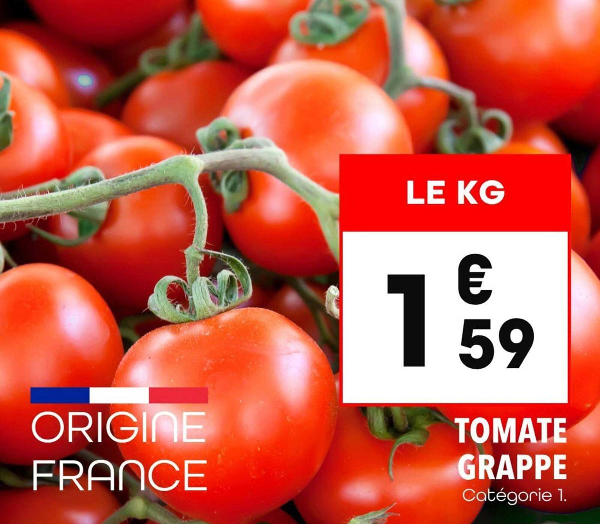 TOMATE GRAPPE