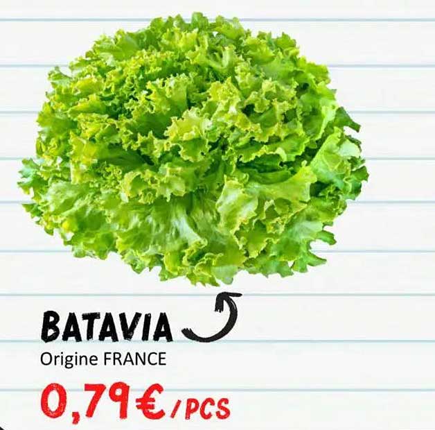 BATAVIA