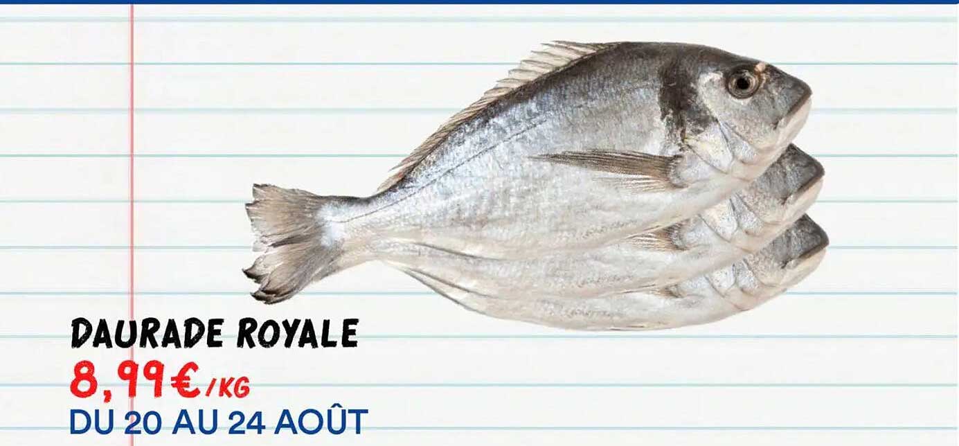 DAURADE ROYALE