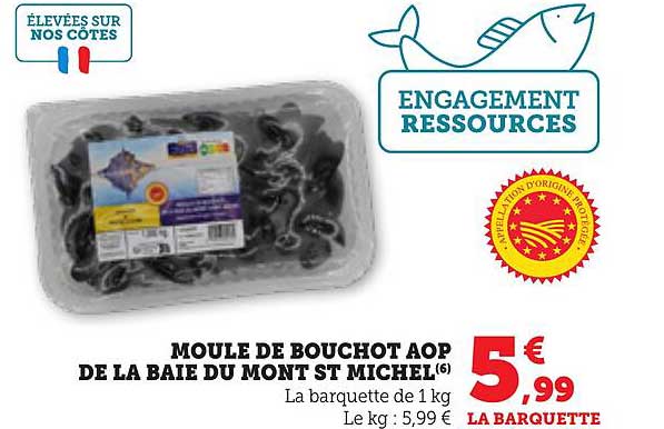 MOULE DE BOUCHOT AOP DE LA BAIE DU MONT ST MICHEL