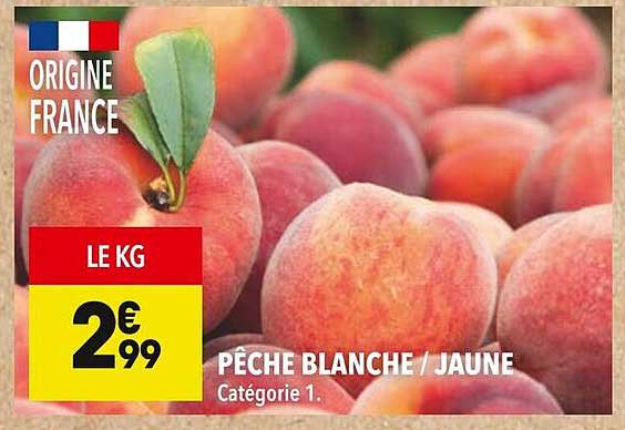 PÊCHE BLANCHE / JAUNE
