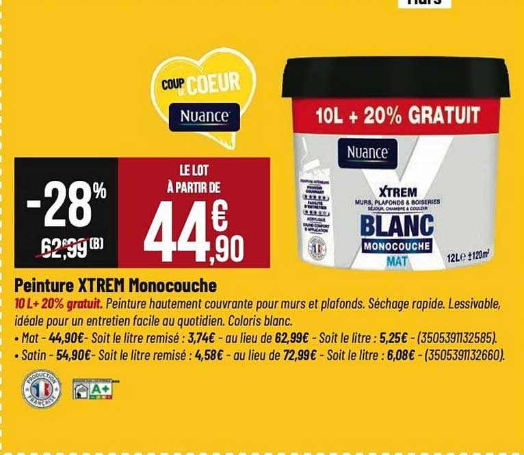 Peinture XTREM Monocouche