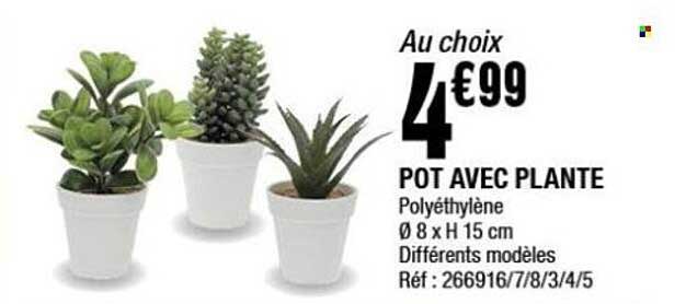 POT AVEC PLANTE