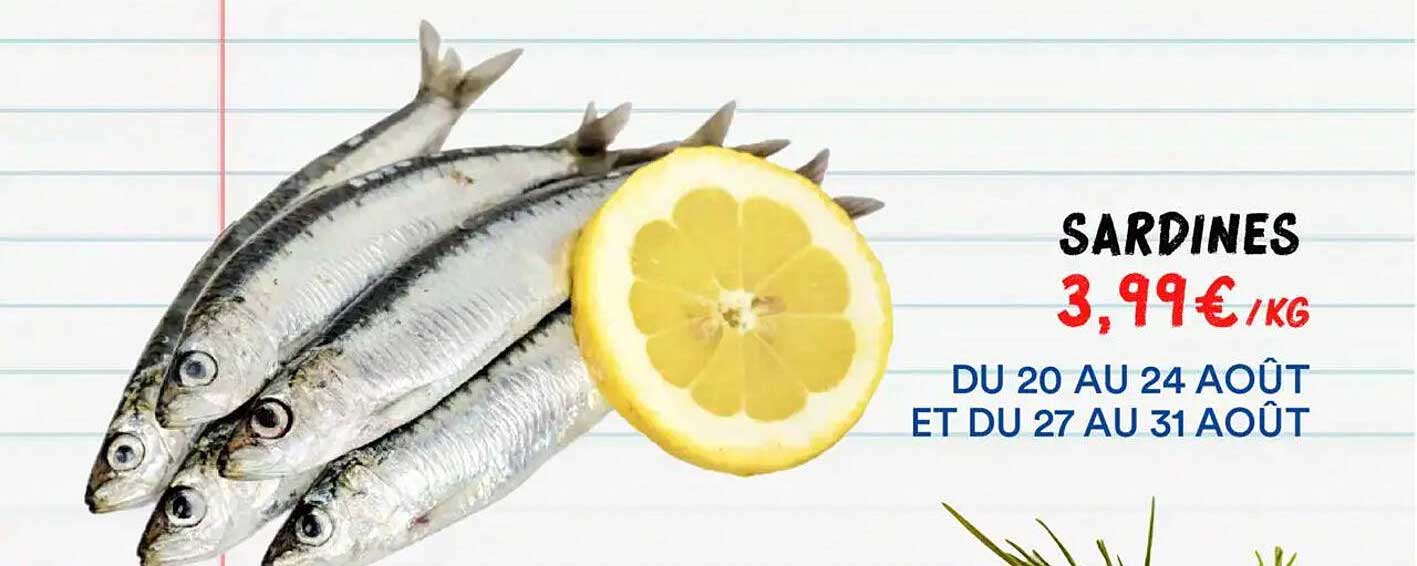 SARDINES