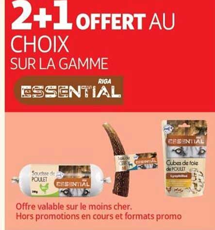 2+1 OFFERT AU CHOIX SUR LA GAMME ESSENTIAL RIGA