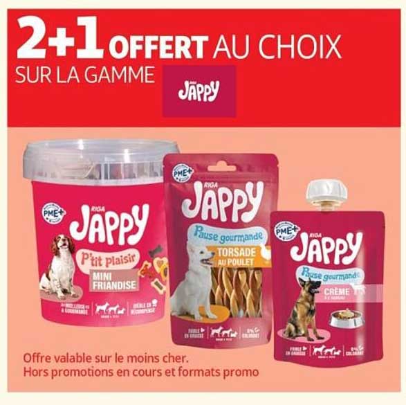 2+1 OFFERT AU CHOIX SUR LA GAMME JAPPY