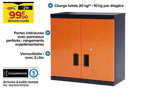 Armoire à outils murale