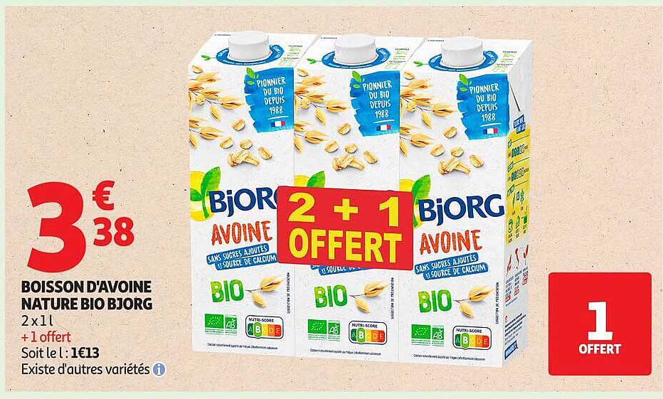 BOISSON D'AVOINE NATURE BIO BJORG