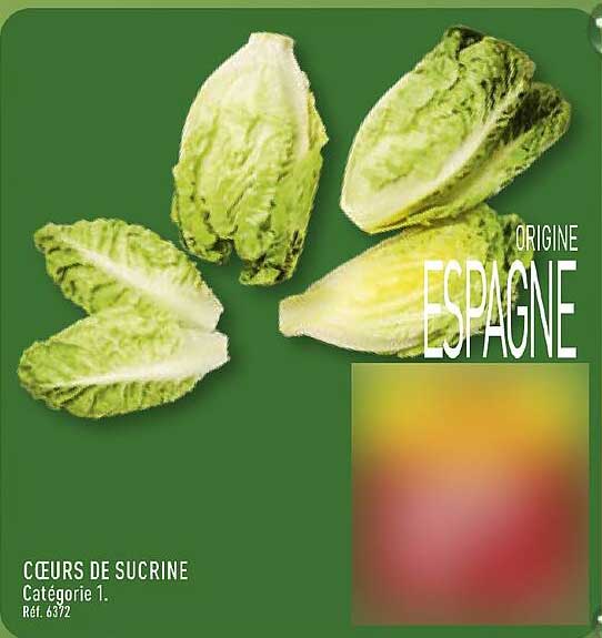 CŒURS DE SUCRINE