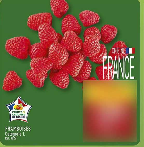 FRAMBOISES Catégorie 1. Réf. 3229