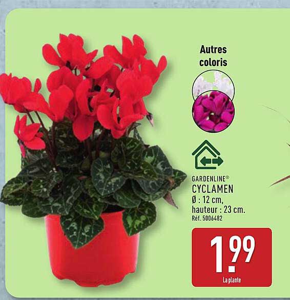 GARDENLINE® CYCLAMEN