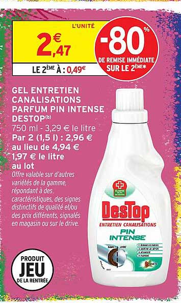 GEL ENTRETIEN CANALISATIONS PARFUM PIN INTENSE DESTOP