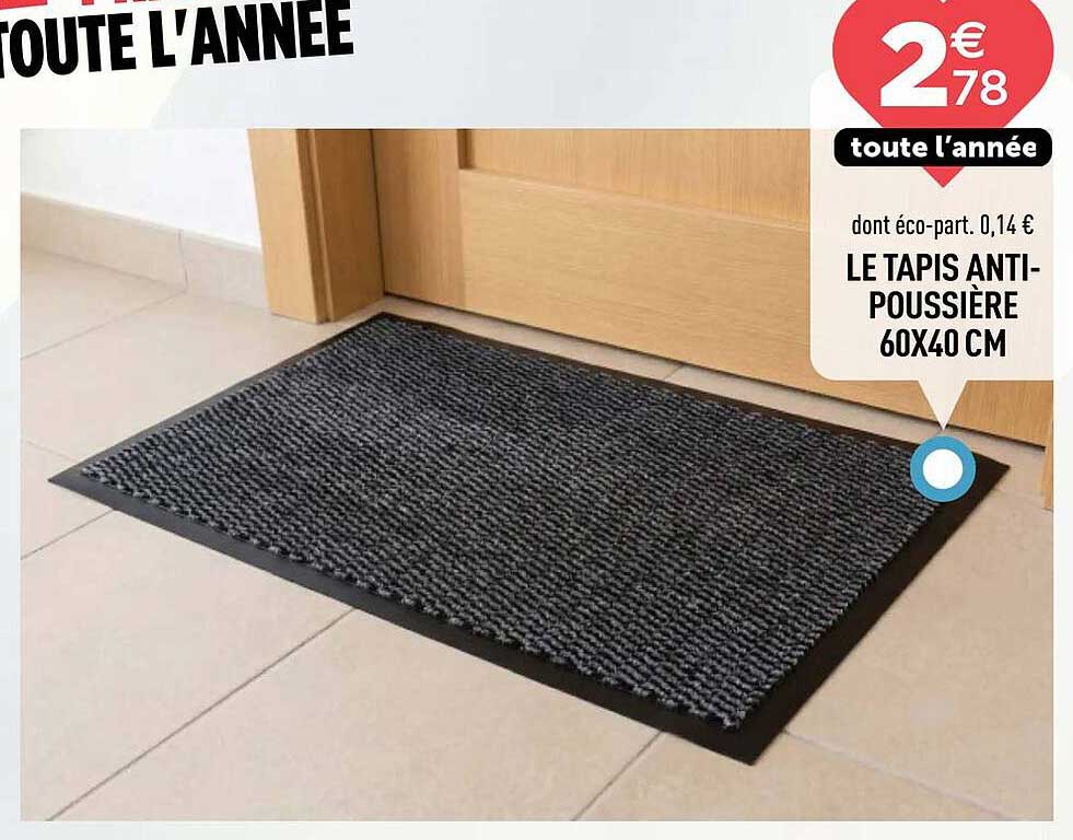 LE TAPIS ANTI-POUSSIÈRE 60X40 CM