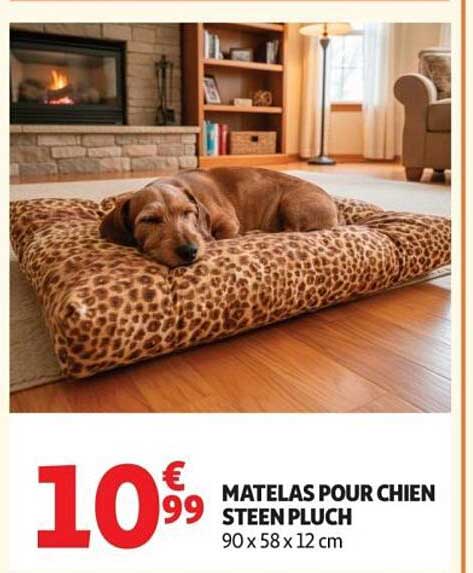 MATELAS POUR CHIEN STEEN PLUCH 90 x 58 x 12 cm