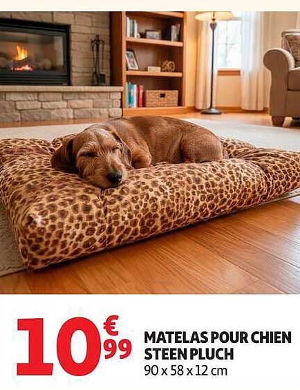 MATELAS POUR CHIEN STEEN PLUCH 90 x 58 x 12 cm