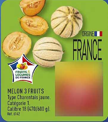 MELON 3 FRUITS Type Charentais jaune. Catégorie 1. Calibre 18 (470/600 g). Réf. 6142