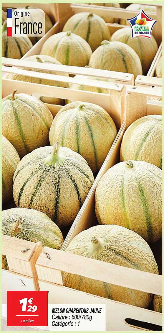 MELON CHARENTAIS JAUNE