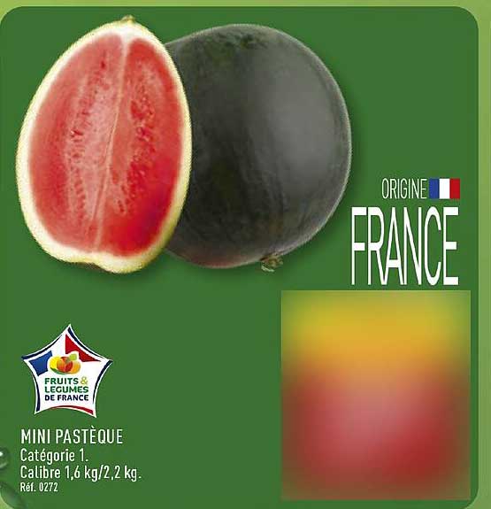 MINI PASTÈQUE