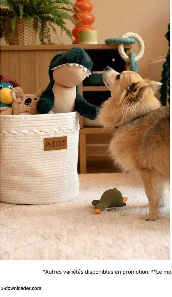 PETTOYS