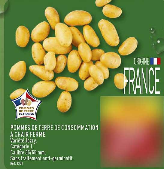 POMMES DE TERRE DE CONSOMMATION À CHAIR FERME