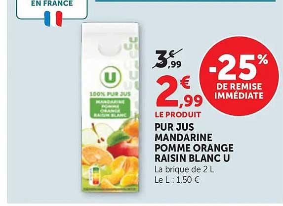 PUR JUS MANDARINE POMME ORANGE RAISIN BLANC U