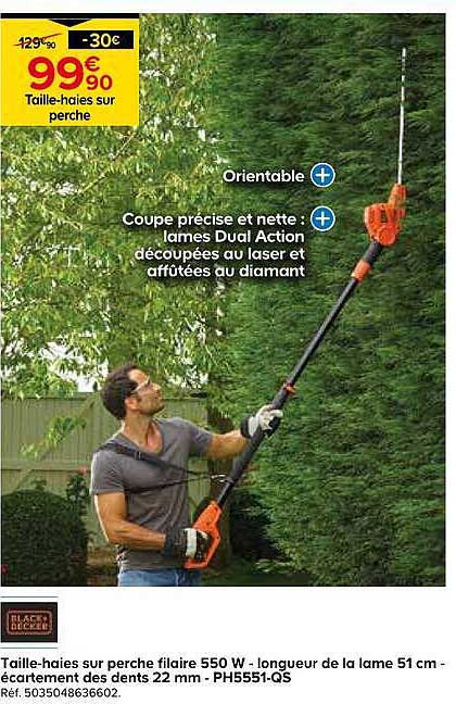 Taille-haies sur perche