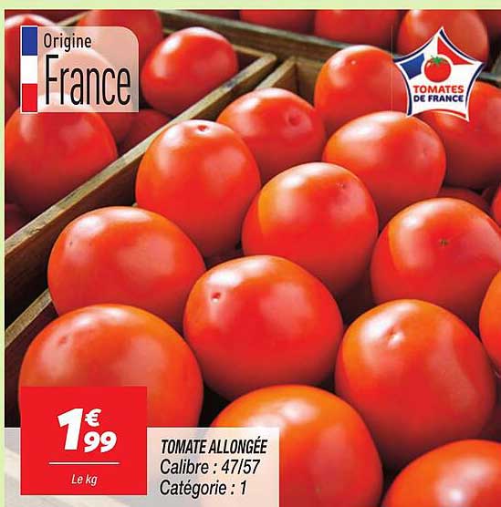 TOMATE ALLONGÉE