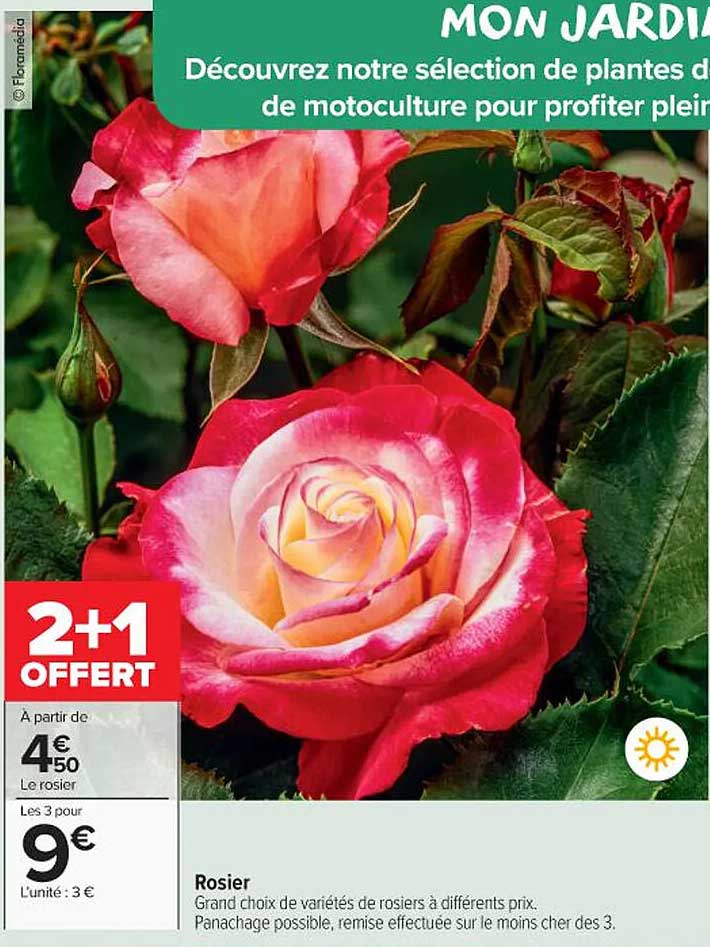 2+1 OFFERT