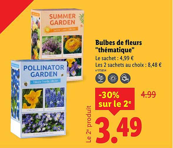 Bulbes de fleurs "thématique"