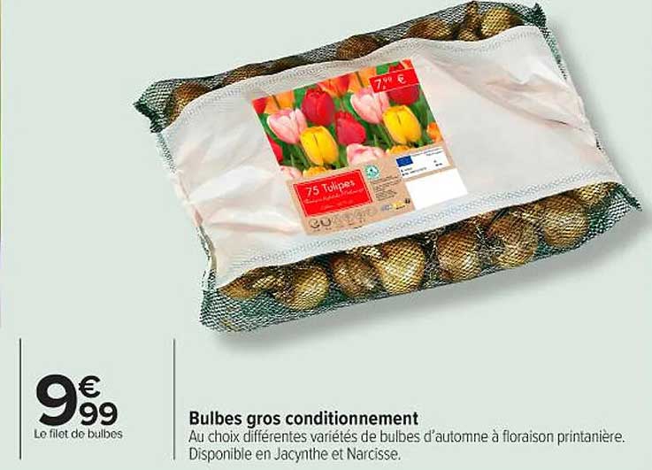 Bulbes gros conditionnement