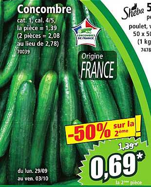 Concombre