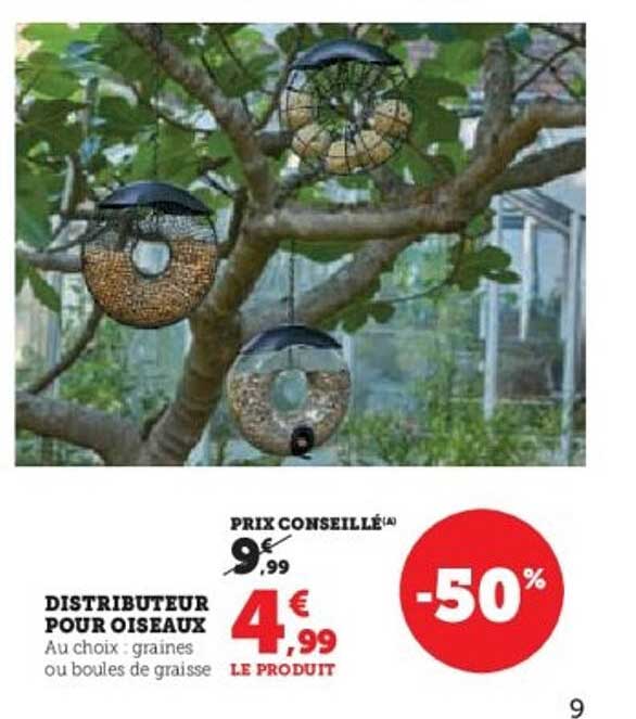 DISTRIBUTEUR POUR OISEAUX