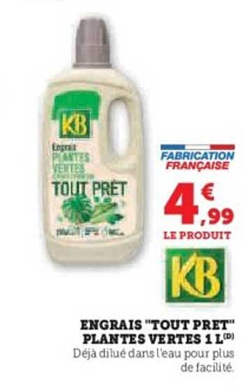 ENGRAIS "TOUT PRET" PLANTES VERTES 1 L