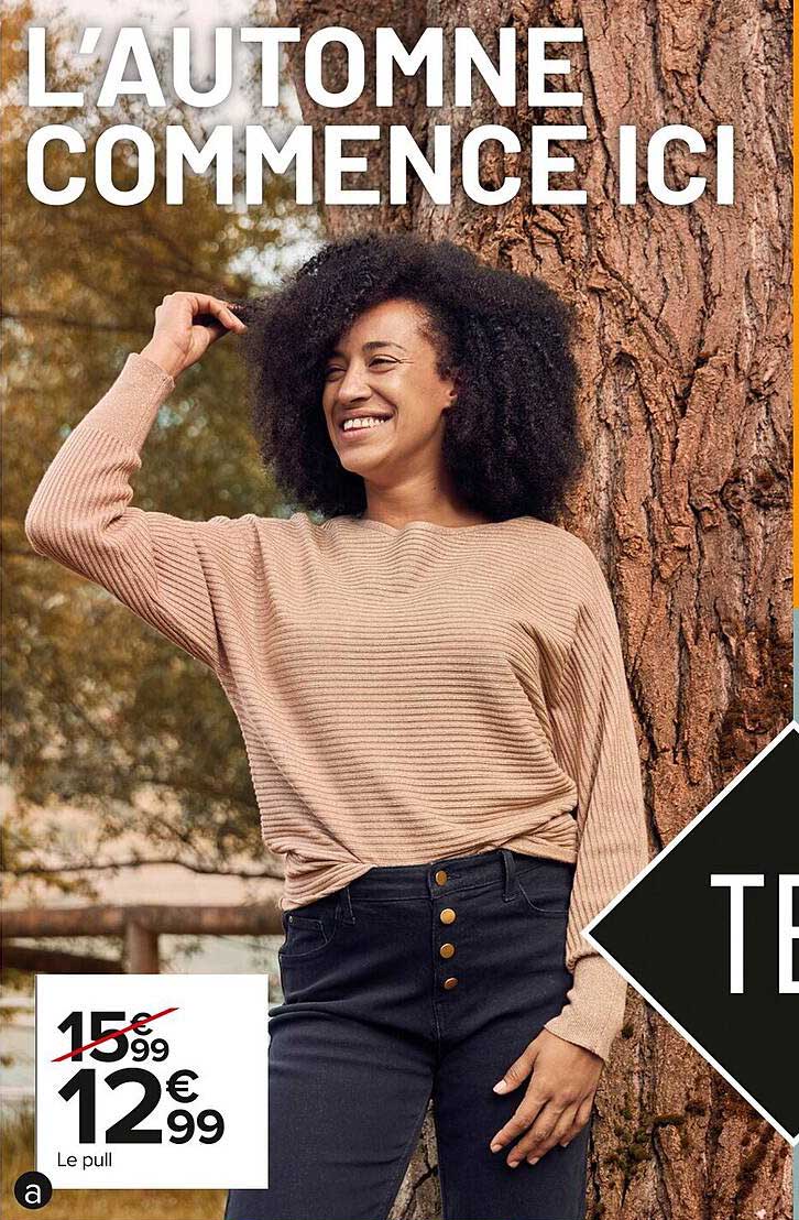 Le pull