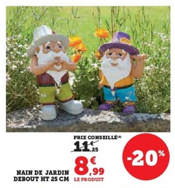 NAIN DE JARDIN DEBOUT HT 25 CM