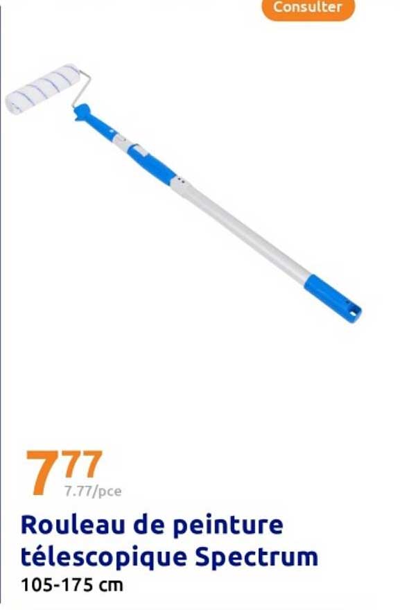Rouleau de peinture télescopique Spectrum