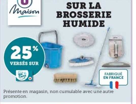 SUR LA BROSSERIE HUMIDE