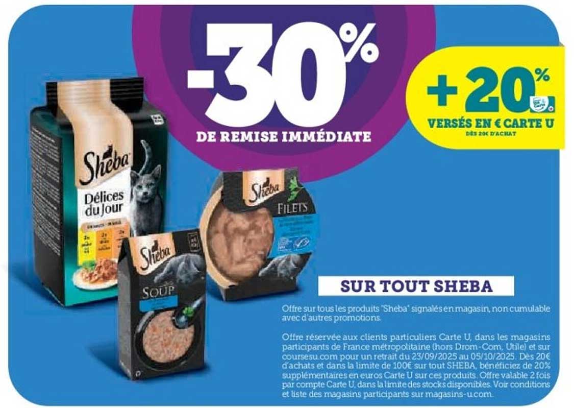 SUR TOUT SHEBA